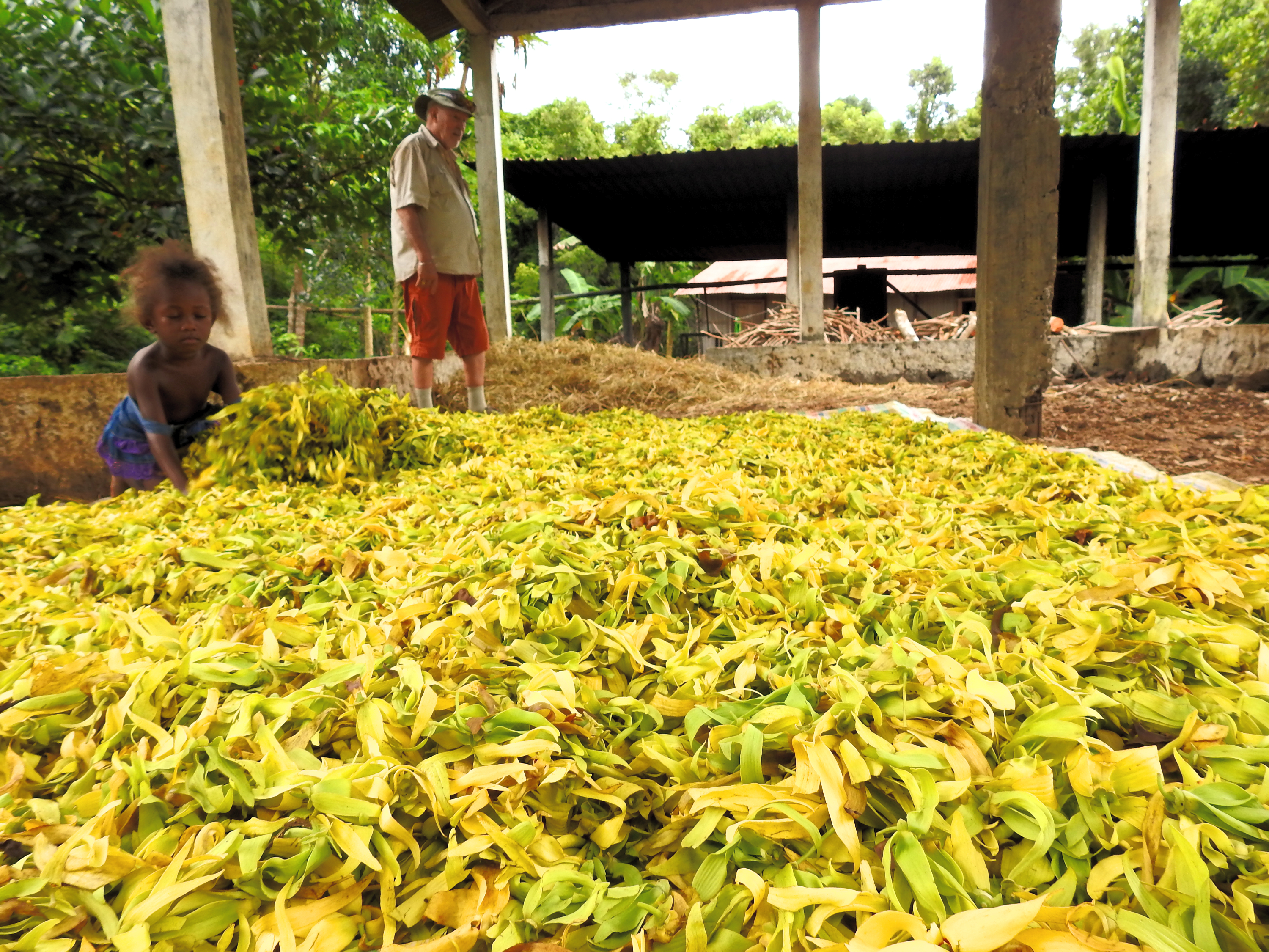 Alambics et savoir-faire artisanal de la distillerie Fleur d'Ylang, Nosy Be